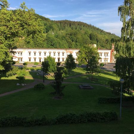 Apartman Stare Casy Svoboda nad Upou Exterior photo